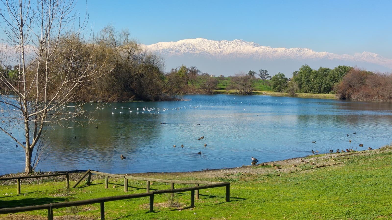 Environmental lagoon at a modern biofactory and water recovery site.